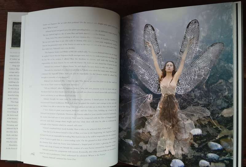 In the Forest Fey - Faerie World
