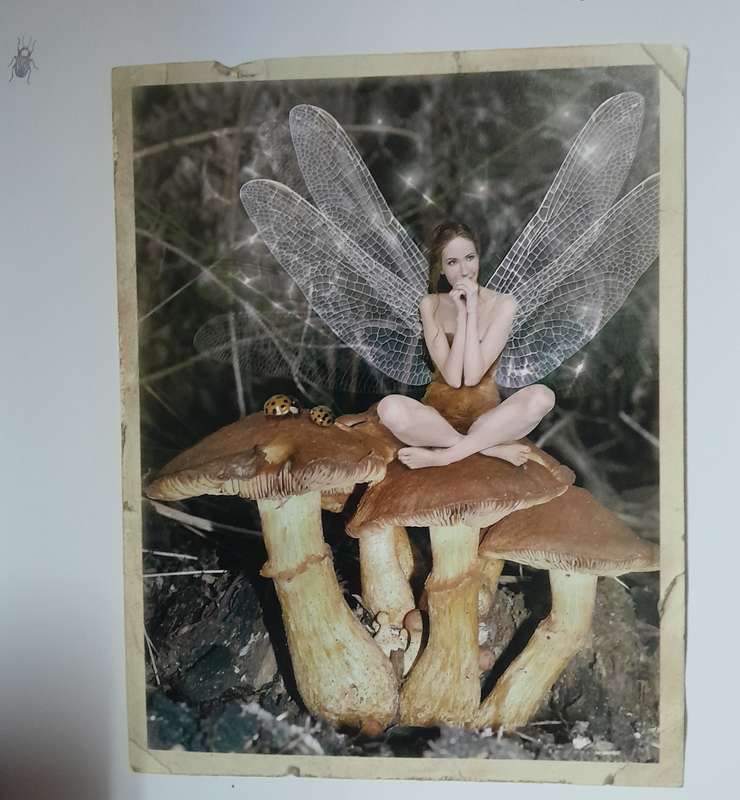 In the Forest Fey - Faerie World