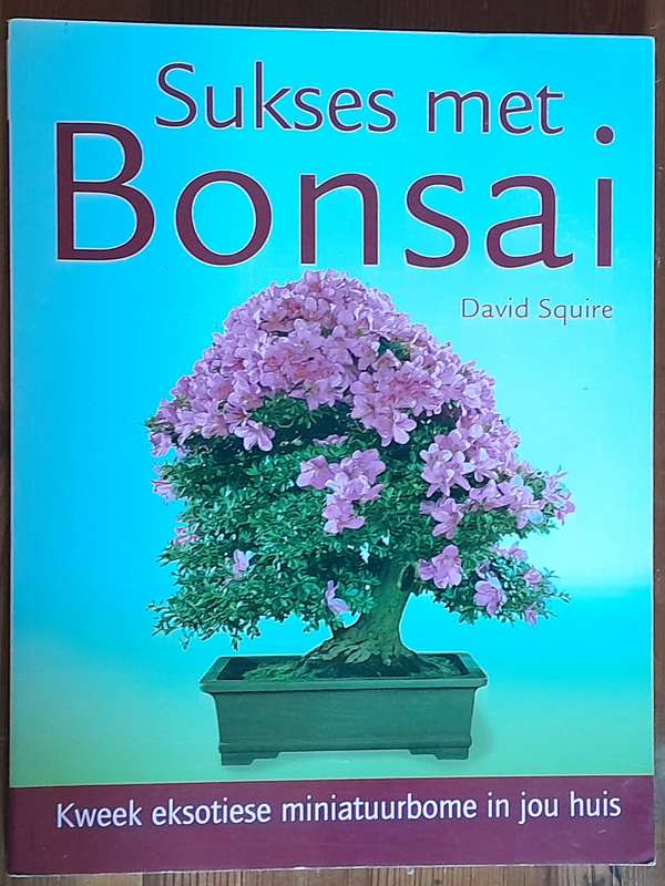 Sukses met Bonsai