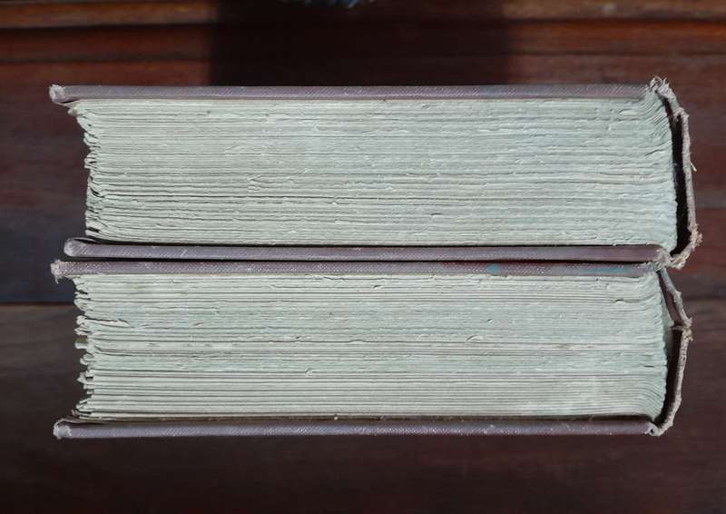 Memoirs of Prince Hohenlohe - Biography (vol. 1 & 2)