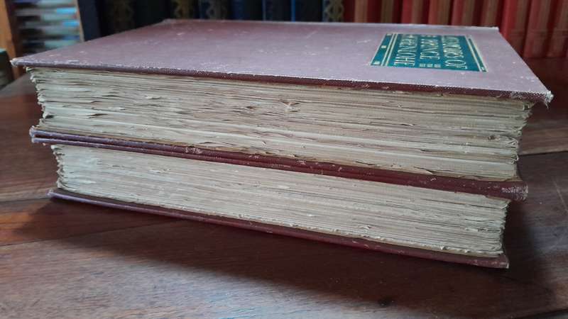 Memoirs of Prince Hohenlohe - Biography (vol. 1 & 2)
