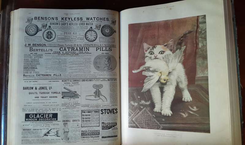 The Graphic - Illustrated Weekly Newspaper ( 1891... )