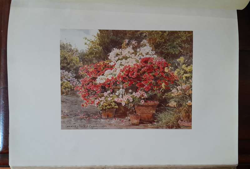 Italian Gardens - published in 1907
