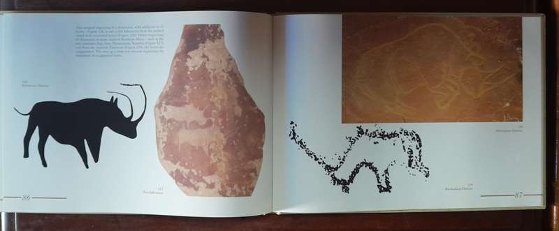 Rock Engravings of Southern Africa