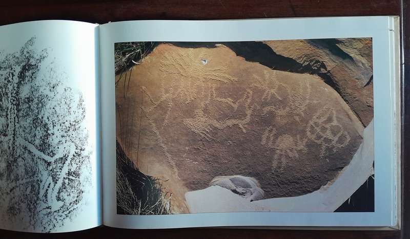 Rock Engravings of Southern Africa