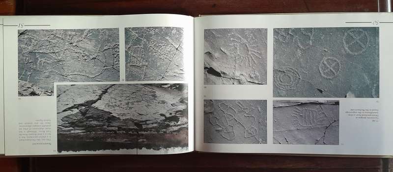 Rock Engravings of Southern Africa