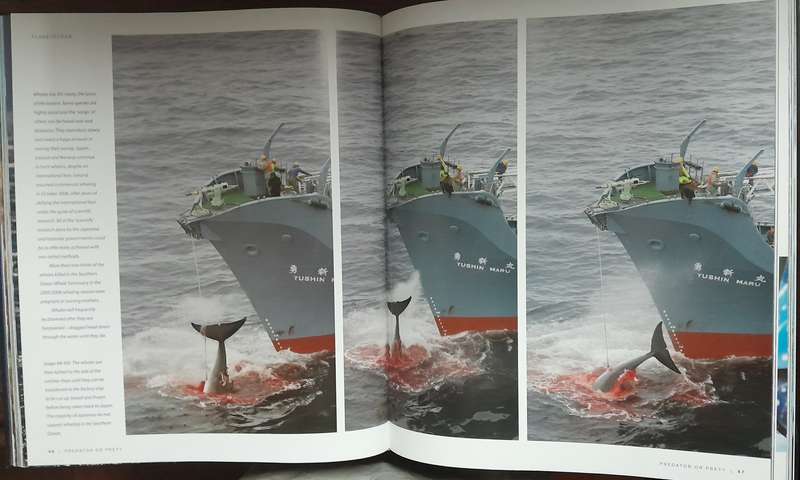 Planet Ocean - Greenpeace