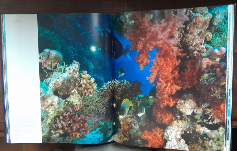 Planet Ocean - Greenpeace