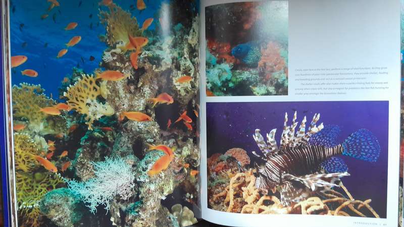 Planet Ocean - Greenpeace