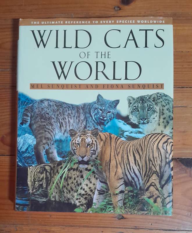 Wild Cats of the World