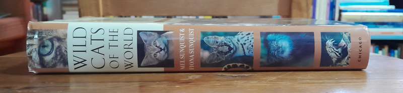 Wild Cats of the World
