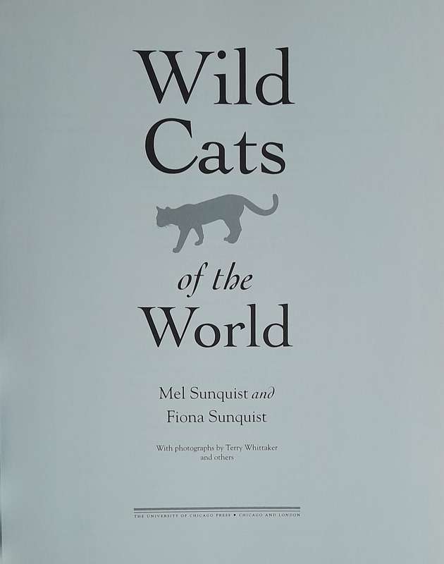 Wild Cats of the World