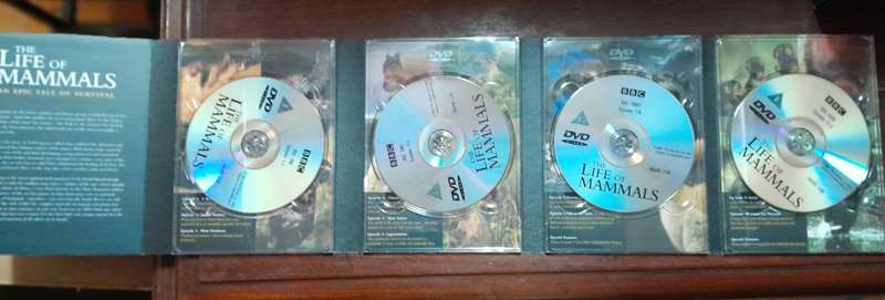 David Attenborough - Set of 32 DVD discs