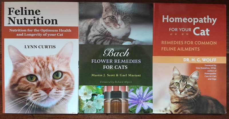 Cat books - set of 8