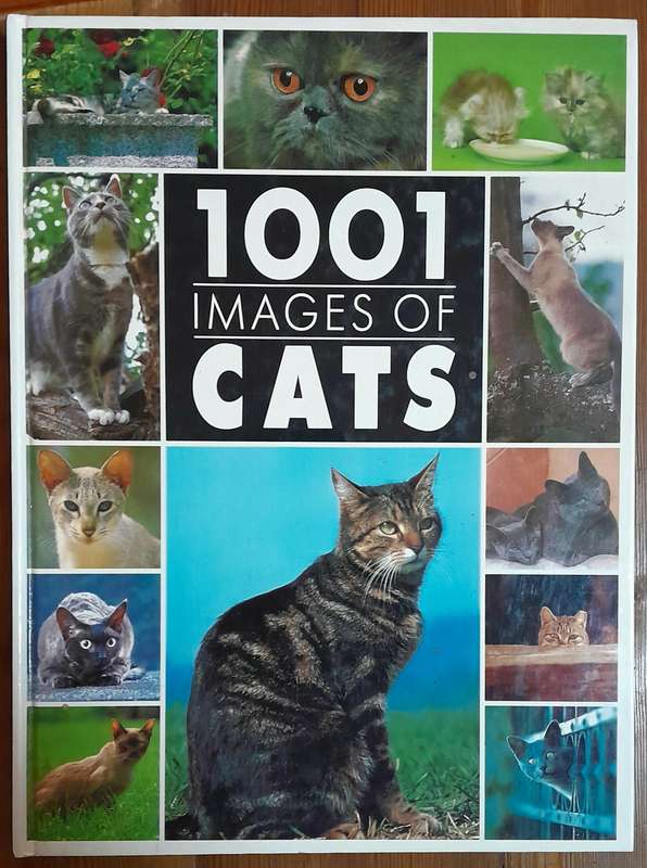 Cat books - set of 8