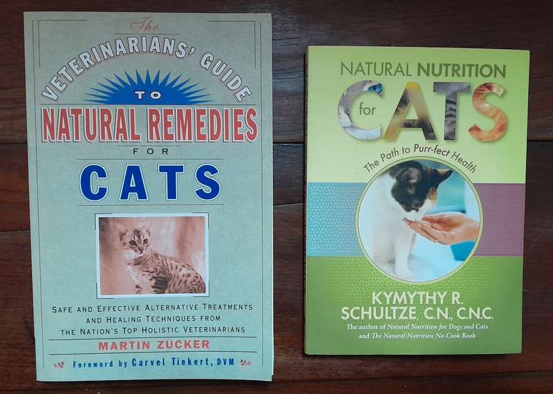 Cat books - set of 8