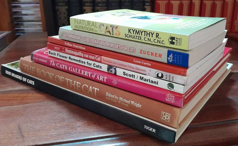 Cat books - set of 8