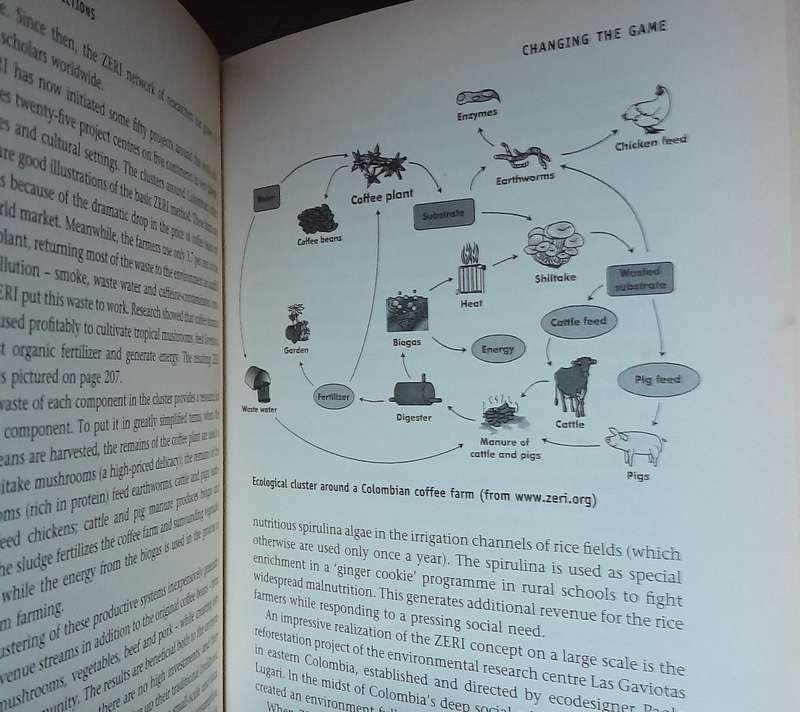 The Hidden Connections - A Science for Sustainable Living