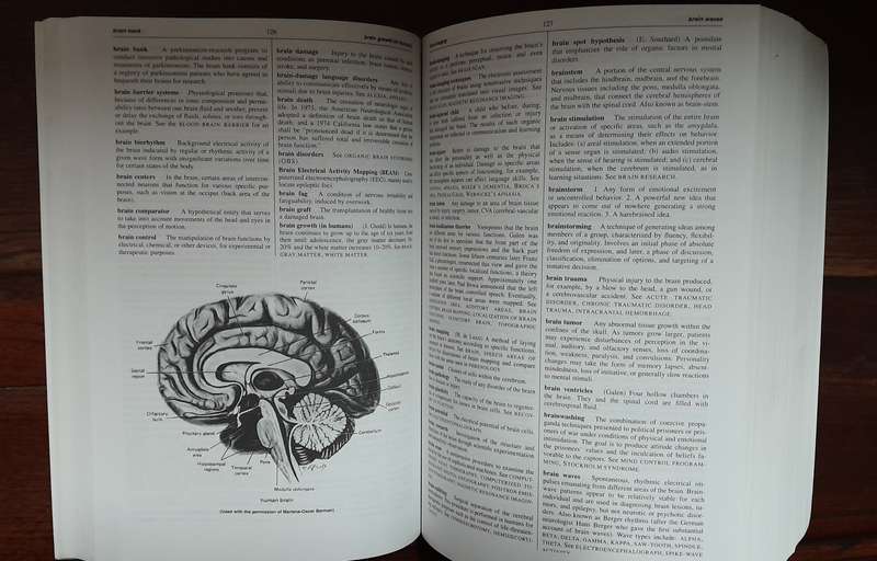 The Dictionary of Phsycology
