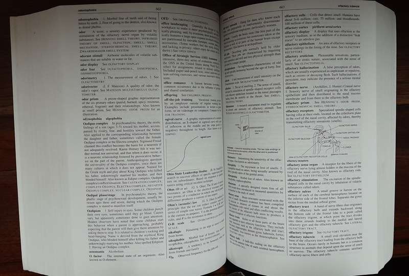 The Dictionary of Phsycology