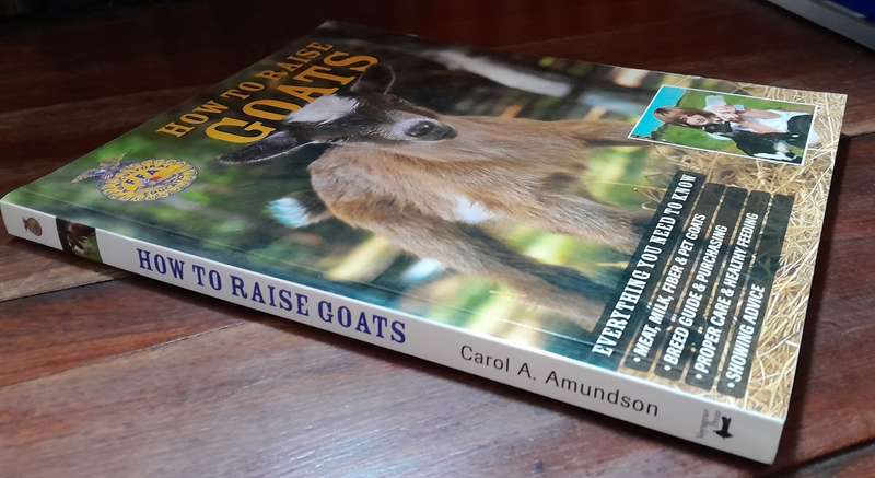 How to Raise Goats