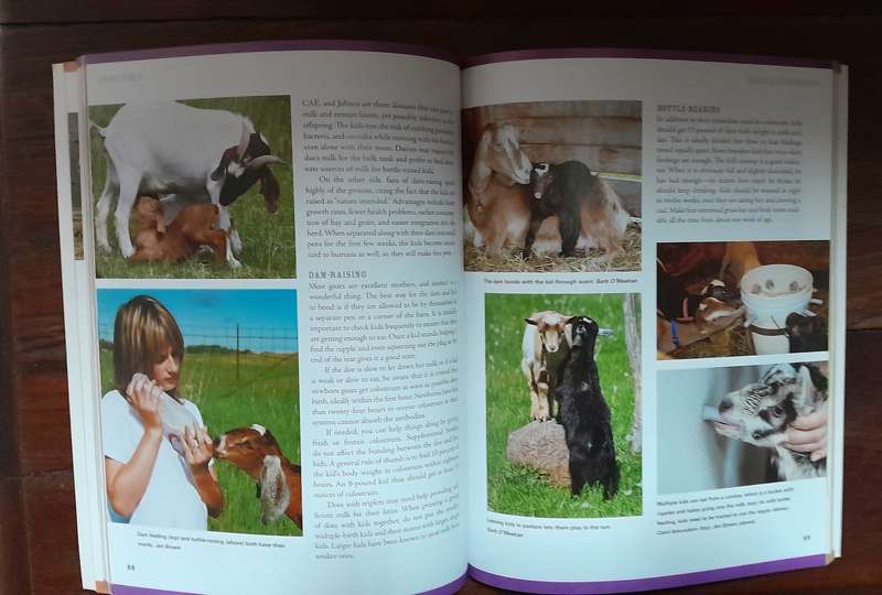How to Raise Goats