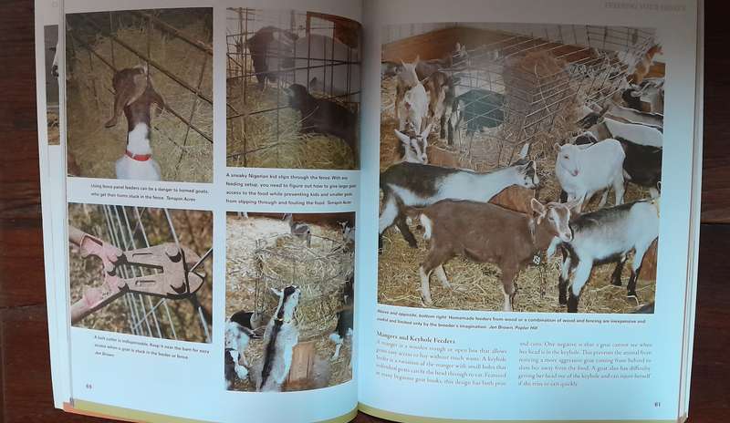 How to Raise Goats