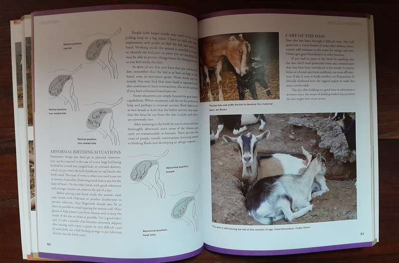 How to Raise Goats