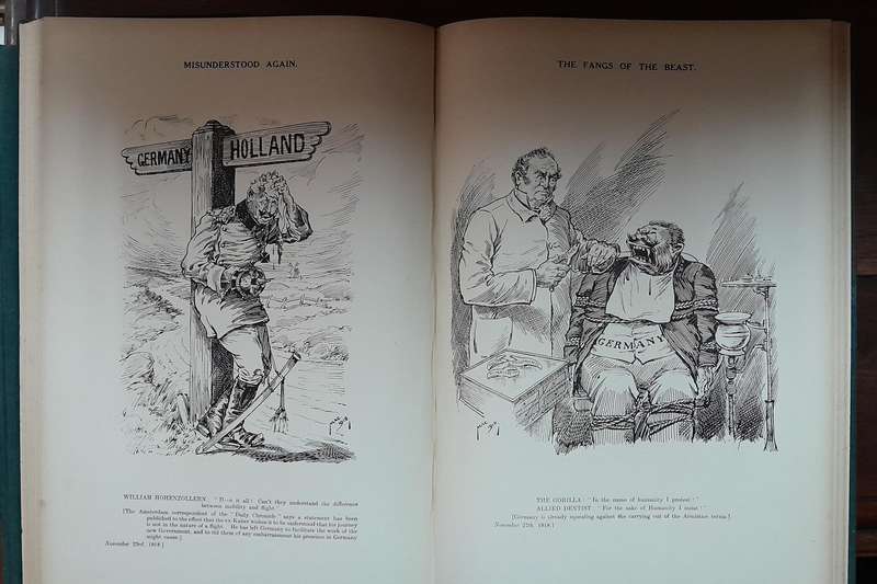Cartoons of the Great War 1916-1917 & 1917-1918-1919 - Mac