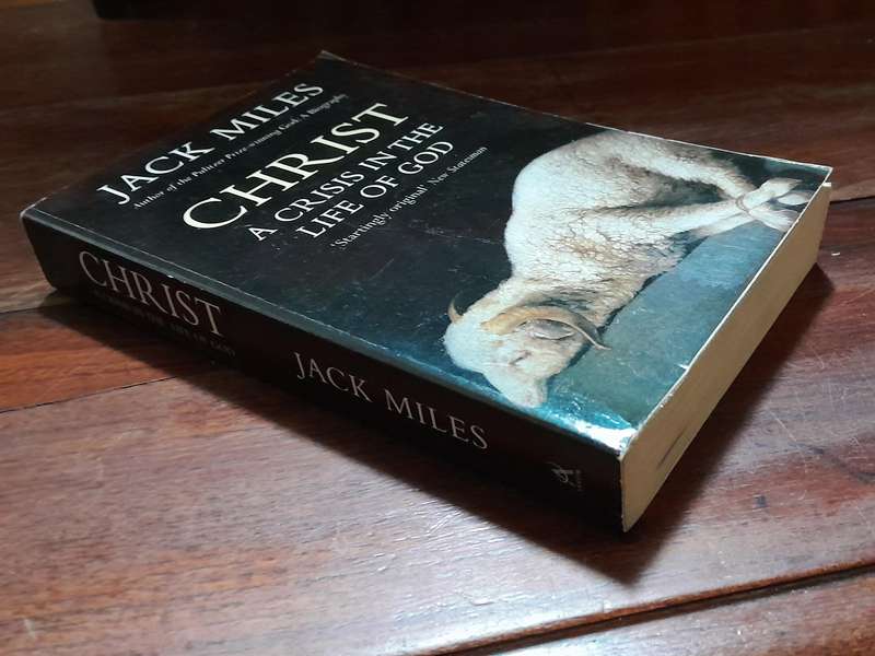 Christ - A Crisis in the Life of God