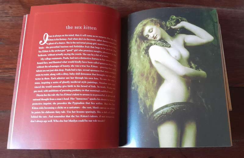 Simply Irresistible - famous and infamous women in history