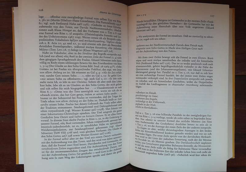 Die Theologie des Paulus im Umriss