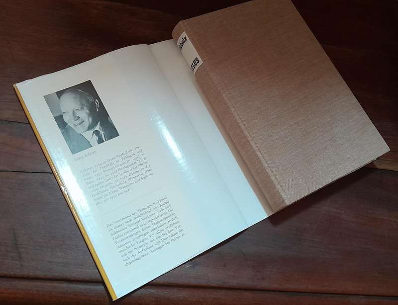 Die Theologie des Paulus im Umriss