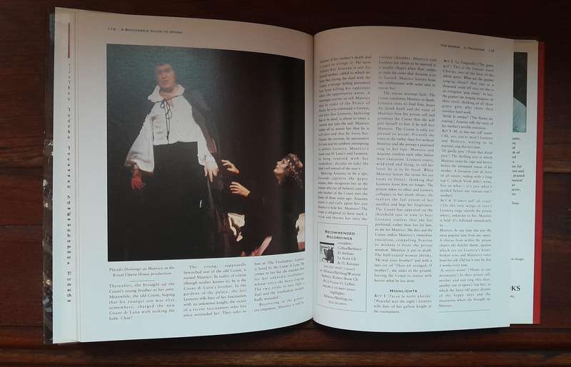 A Beginner's Guide to Opera