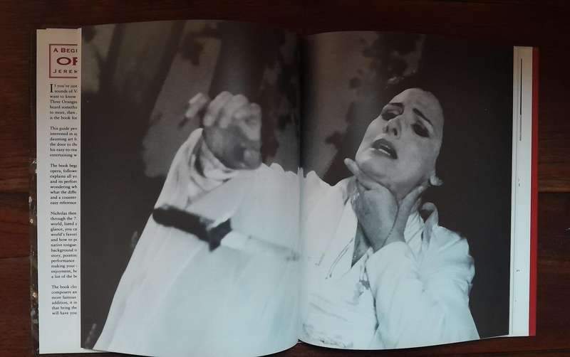 A Beginner's Guide to Opera
