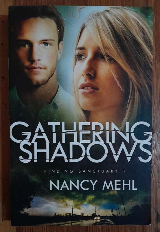 Gathering Shadows - Nancy Mehl
