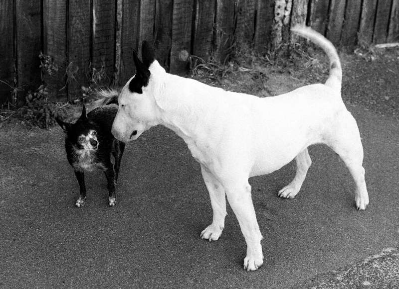 Street Photography  -  South Africa (circa 1995 to 2000)