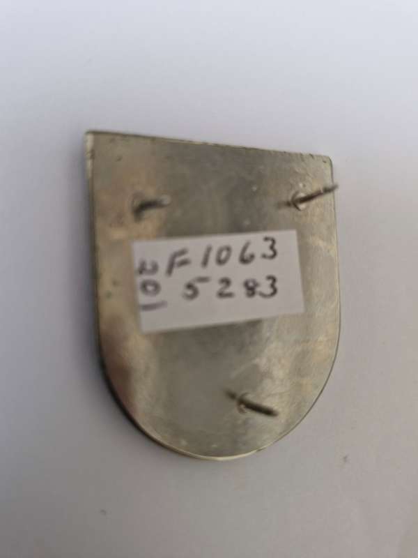 201 Battalion pocket flash