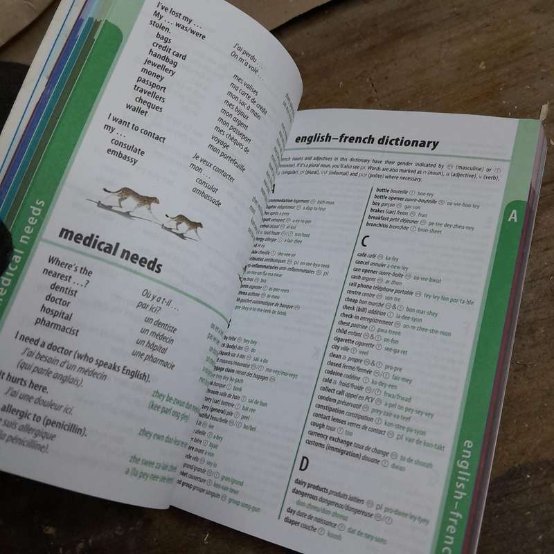 Portuguese Phrasebook & Africa Phrasebook