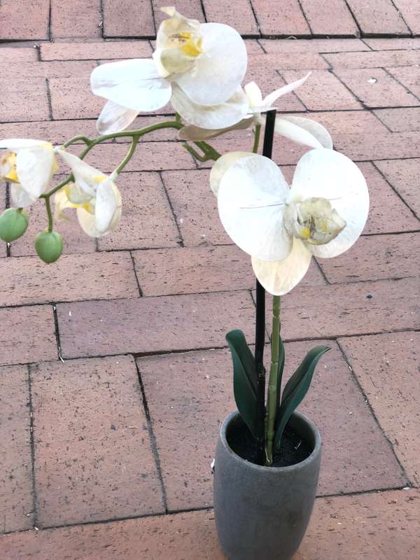 Orchid Plant x3 (Artificial Plant)