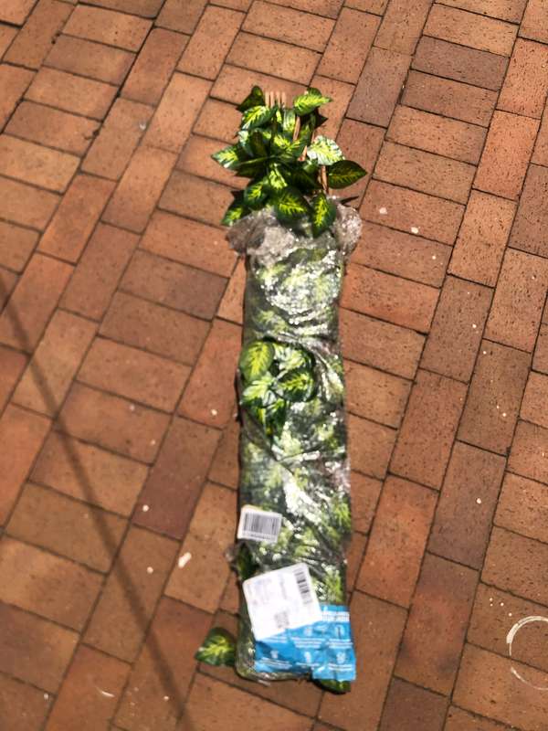 PH Garden - Fold Out Trellis With Artificial Variegated Leaves