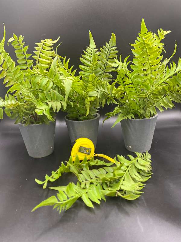 Artificial Fern Plants X3