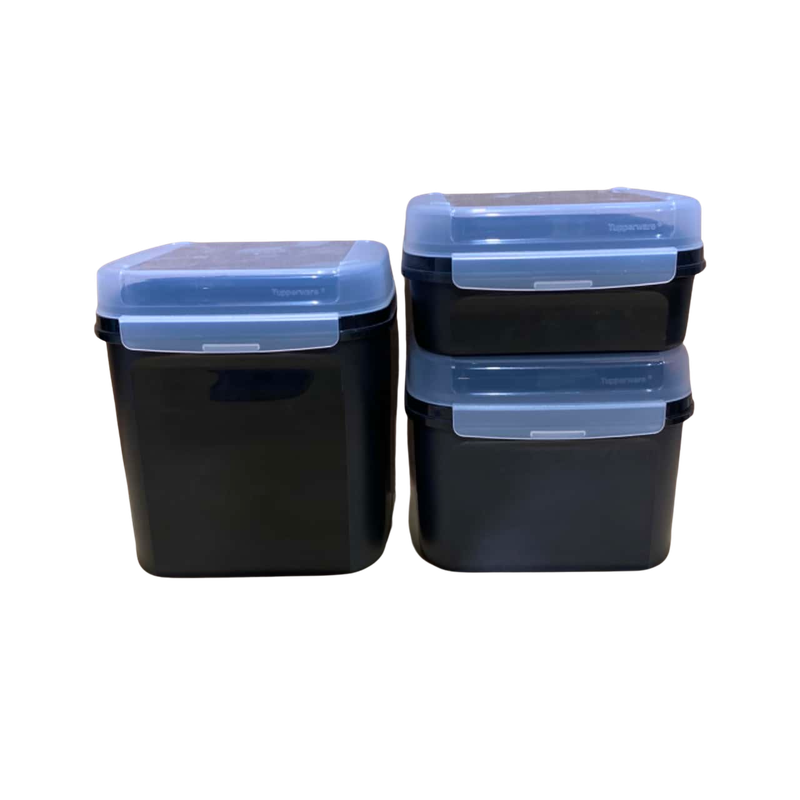 Tupperware signature line container
