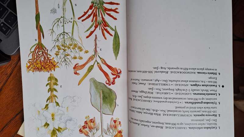South African Wild Flower Guide - Mary Maytham Kidd - 1983 edition