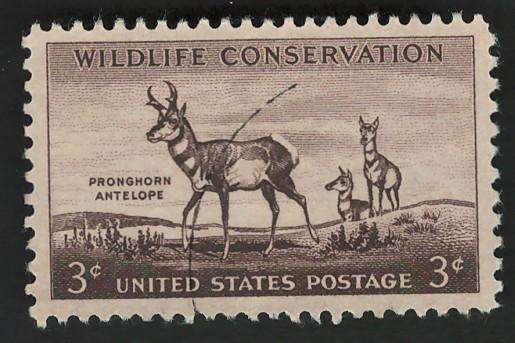 USA 1956 Wildlife Conservation: Pronghorn Antelope. Scott #1078