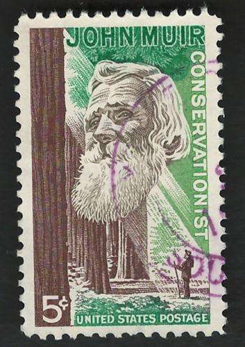 USA 1964 John Muir Conservationist & Redwood Forest Scott #1245