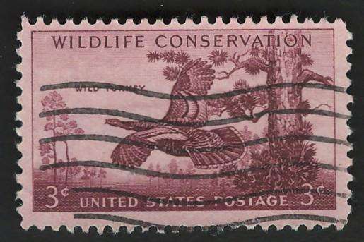 USA 1956 Wildlife Conservation: Wild Turkey. Scott #1077
