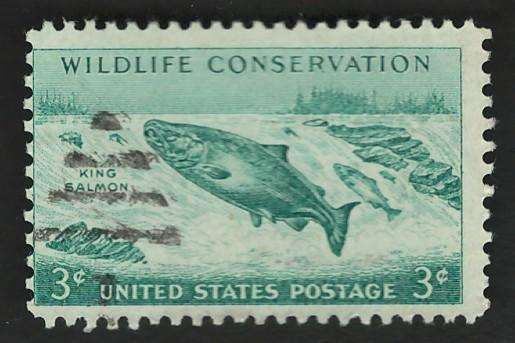 USA 1956 Wildlife Conservation: King Salmon. Scott #1079