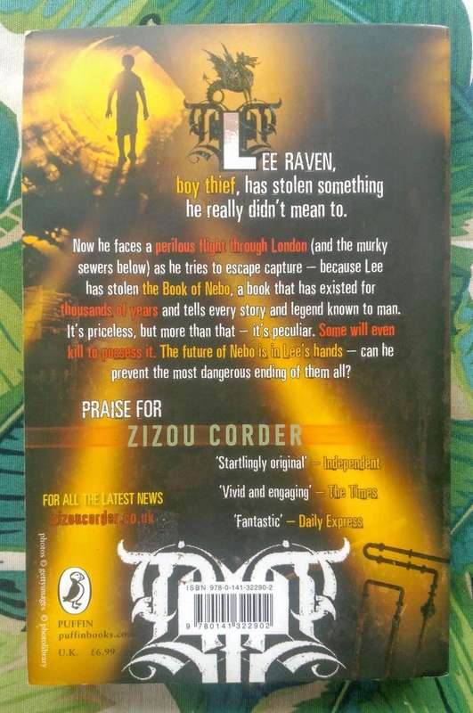 Lee Raven Boy Thief by Zizou Corder