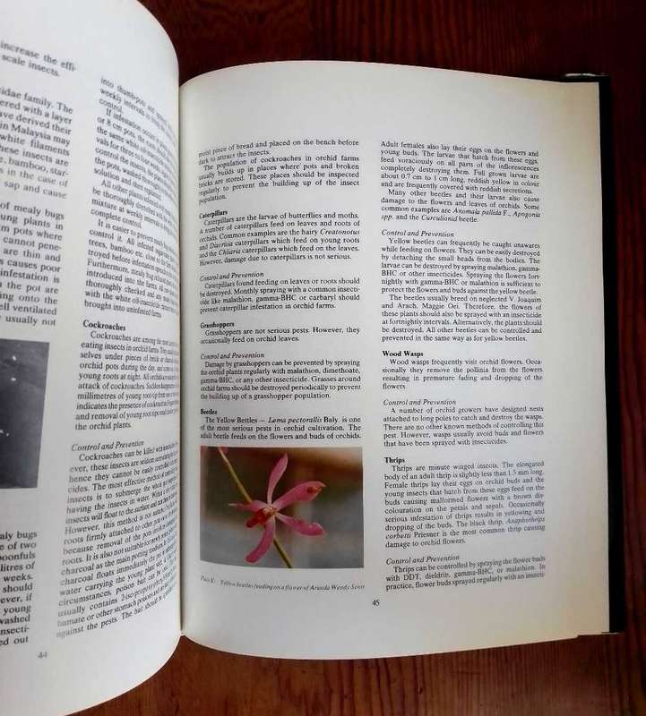 Orchids - Their Cultivation and Hybridization by Lee Chew Kang